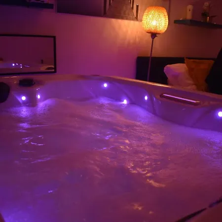 Appartement SAUNA JACUZZI pour 2 en centre ville Toulouse